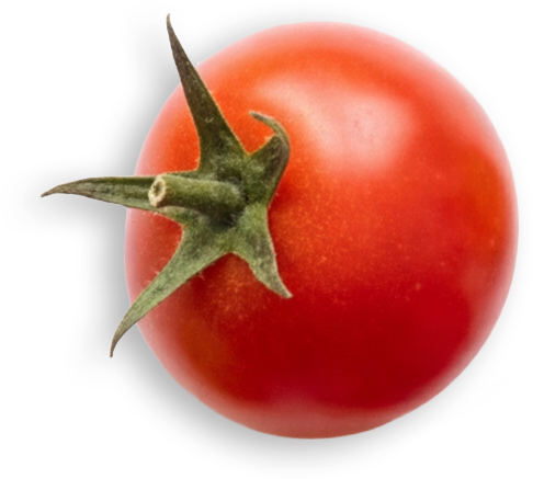 tomate